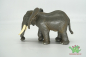 Preview: Schleich Afrikanische Elefantenkuh 14027